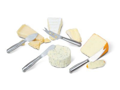 Copenhagen Set 4xkaasmes Mini Rvs 17.6x 14.6x2.1cm - Alle Soorten Kaas