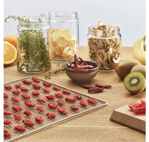 Smart Food Dehydrator  Espressions