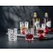 Nachtmann Noblesse Shotglas set/4