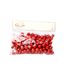 Sneeuwbal 20gr Glitter Rood  