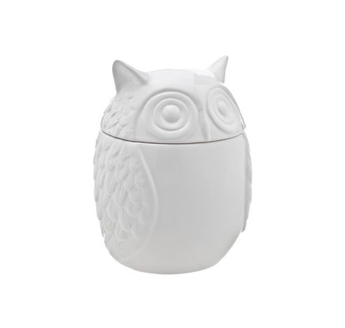 Hibou Blanc Boite A/ Rang 14.3x14.3x18.5 Cm  Cosy @ Home