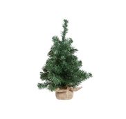 Kerstbomen