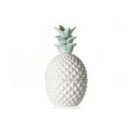 Ananas Box Wit-groen Porselein D6.5xh12.5cm 