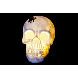 Cosy @ Home Tete De Mort Lum Led 17x13x16cm Resine Incl 3 Piles Aaa 