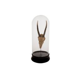 Cosy @ Home Cloche Capricorn Verre Resine 13x13x30cm  