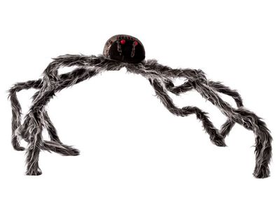 Araignee Pattes Chevelu 25x126x9cm 