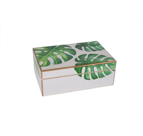 Tropic Doos Hout 17x11.5x6.5cm Wit Groen  Cosy @ Home