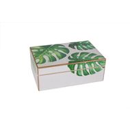 Tropic Doos Hout 17x11.5x6.5cm Wit Groen 