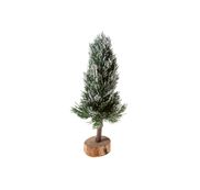 Kerstbomen