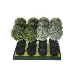 Buxus Set12 Groen Kunststof 15x15xh43  