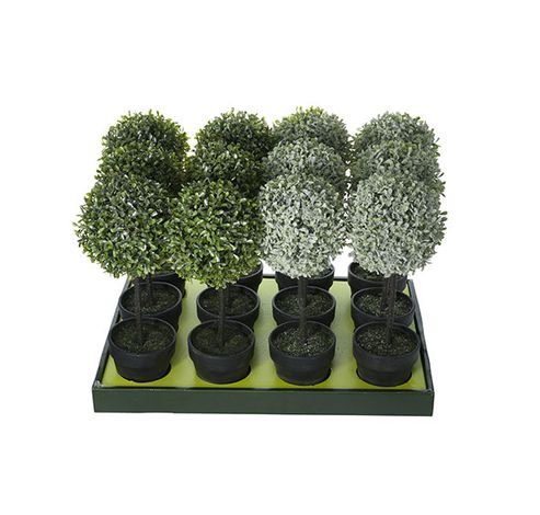 Buxus Set12 Groen Kunststof 15x15xh43   Cosy @ Home