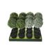 Buxus Set12 Groen Kunststof 15x15xh43  