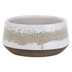 Cosy @ Home Coupe Oxidized Creme 19x20xh10cm Rond Gr Es 