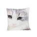 Kussen Cat Pastelgroen 40x40xh6cm  