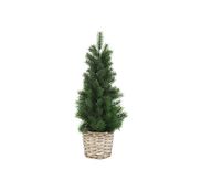 Kerstbomen