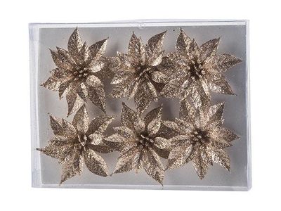 Kerstroos Set6 Glitter Champagne D8 Cm Kunststof