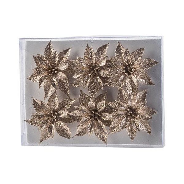 Kerstroos Set6 Glitter Champagne D8 Cm Kunststof 