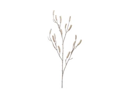 Callistemon Branch Beige 118cm Kunststof Emer