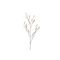 Callistemon Branch Beige 118cm Kunststof Emer 