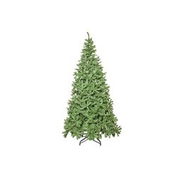 Boom Mountain Pine Indoor 300cm D155cm 2441 Tips Plooitakken Voet Metaal 