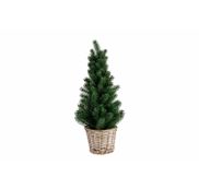 Kerstbomen