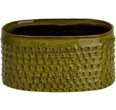 Plantenbak Glazed Embossed Dots Grasgroe N 22x13xh10,5cm Ovaal Aardewerk  Cosy @ Home