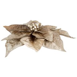 Cosy @ Home Clip Poinsettia Taupe 18x18xh4cm Plastic  