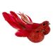 Vogel Clip Set2 Rood 11x3xh4cm Kunststof  