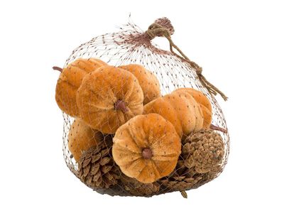 Pompoen Set16 Pine Cone Mix Bruin 18x18x H18cm