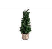 Kerstbomen