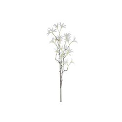 Cosy @ Home Branche Tweedia Blanc 27x12xh79cm  