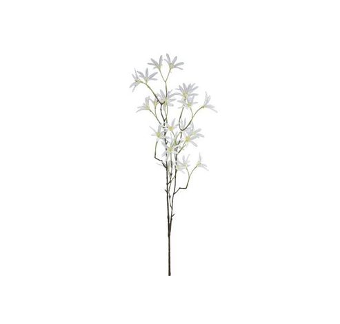 Branche Tweedia Blanc 27x12xh79cm   Cosy @ Home