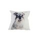 Kussen Dog Grijs 40x40xh10cm Polyester  