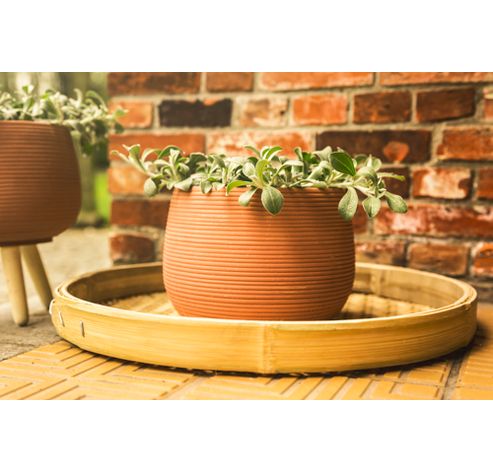 Cachepot Terracotta 17x17xh12cm Rond Cer Amique  Cosy @ Home