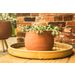 Cachepot Terracotta 17x17xh12cm Rond Ker Amiek 