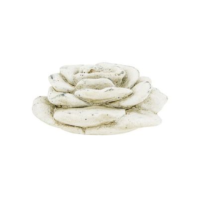 Roos Creme 9x9xh5cm Rond Cement   Cosy @ Home