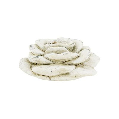 Roos Creme 13x13xh6,5cm Rond Cement   Cosy @ Home