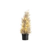 Kerstbomen