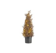 Kerstbomen