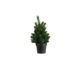 Kerstboom Mini Groen 19x19xh30cm Kunstst Of 