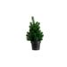 Kerstboom Mini Groen 19x19xh30cm Kunstst Of 