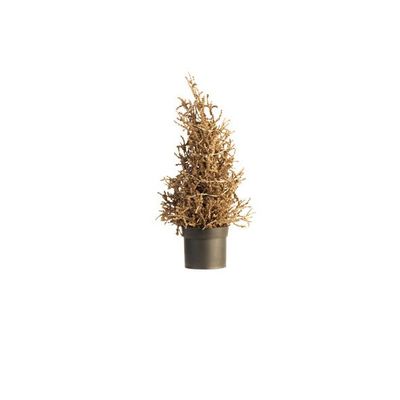 Arbre De Noël 15 Led Lights Glitter Cuiv Re 13x13xh33cm Plastic  Cosy @ Home