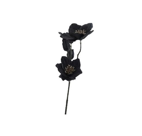 Branche Hellebores  Noir 13x13xh51cm Pla Stic  Cosy @ Home