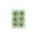 Kerstroos Set6 Glitter Groen D8cm Kunsts Tof 