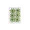 Kerstroos Set6 Glitter Groen D8cm Kunsts Tof 