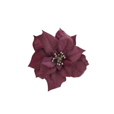 Clip Poinsettia Vieux Rose 17x17xh5cm Pl Astic  Cosy @ Home