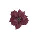 Cosy @ Home Clip Poinsettia Oud Roze 17x17xh5cm Kuns Tstof