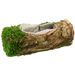 Mand Trunk Rattan-grass  Natuur 25x12xh1 1cm Langwerpig 