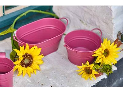 Plantenbak Urban 2 Handles Roze 22x18,7x H10,6cm Rond Conisch Metaal