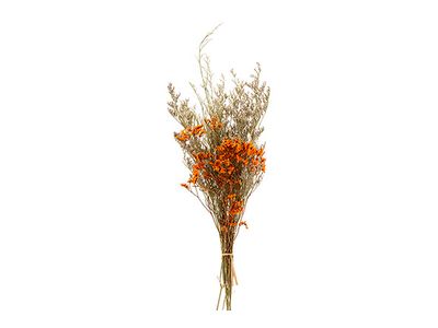 Boeket Dried Flowers Oranje 27x13xh60cm 